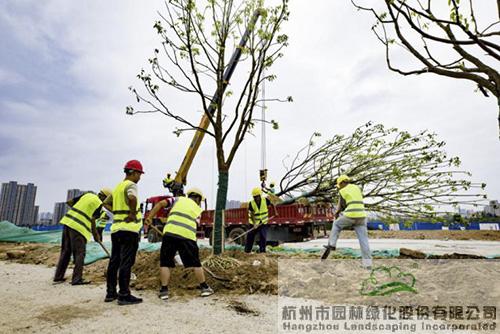 人生就是博(中国游)尊龙官方网站