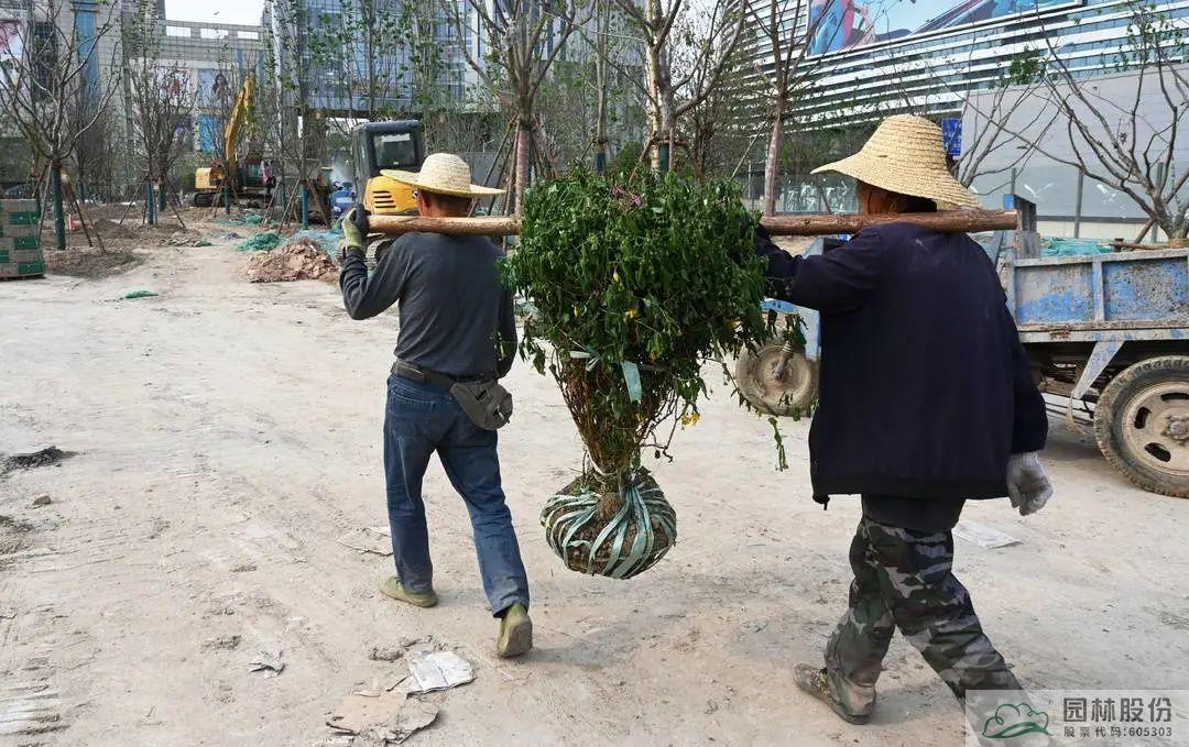 人生就是博(中国游)尊龙官方网站